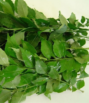 Curry leaves