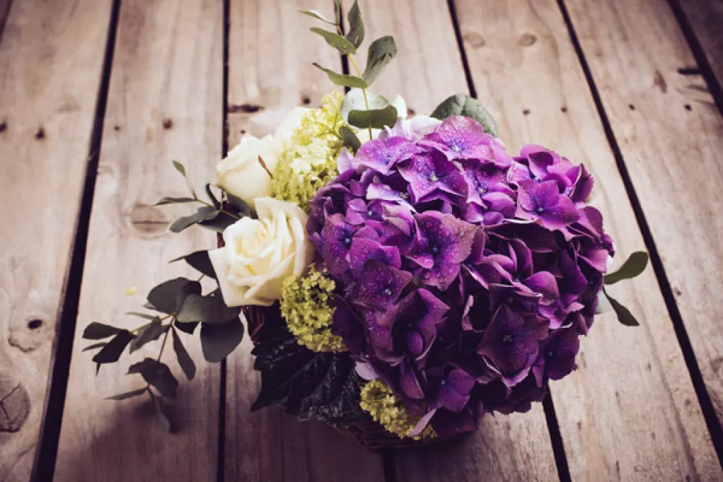 11 Romantic Flowers Other Than Roses To Impress Your Sweetheart This