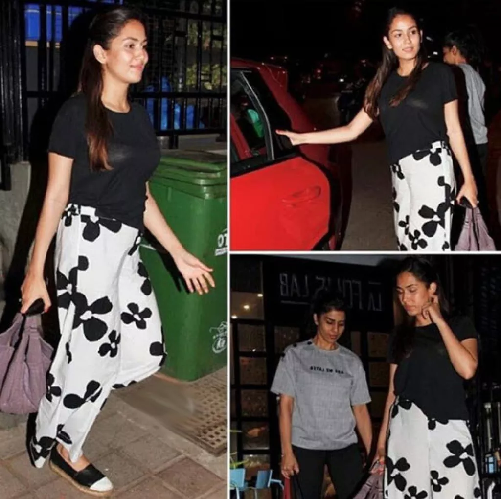 Shahid Kapoor's Wife Mira Rajput Is Probably Pregnant With Their Second ...