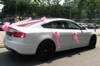 5 Trendy Ideas To Decorate Your Wedding Car