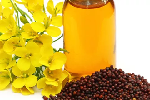 15 Benefits Of Mustard Oil For Hair, Skin And Health, From Hair Growth ...