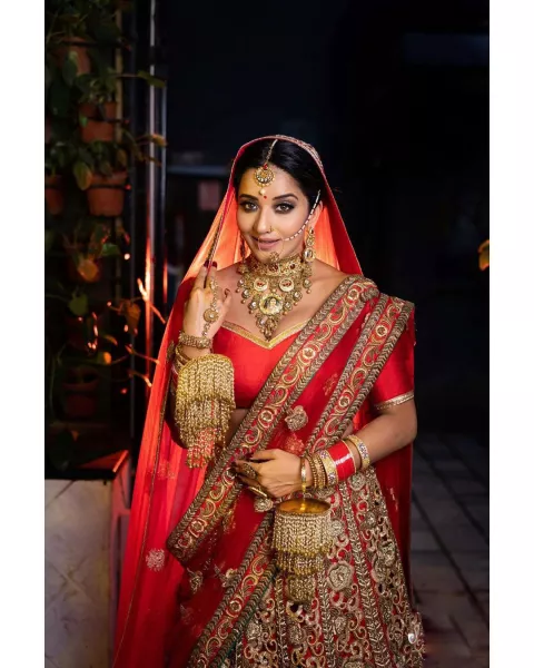 Monalisa Of 'Nazar' Fame Turns Gorgeous Bride, Her Husband, Vikrant's