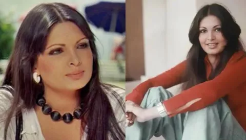 Zeenat Aman Recalls Parveen Babi's Legacy As An Actress, 'She Was Much ...