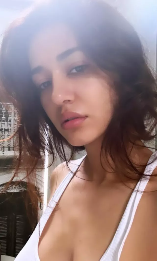 Disha Patani Trolled For Her Swollen Face Netizen Says Did You Borrow That Nose From A Witch