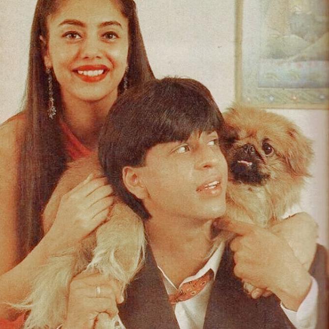 Shah Rukh Khan Reveals He Had Tricked Gauri Khan For Their Honeymoon To Darjeeling Instead Of Paris 