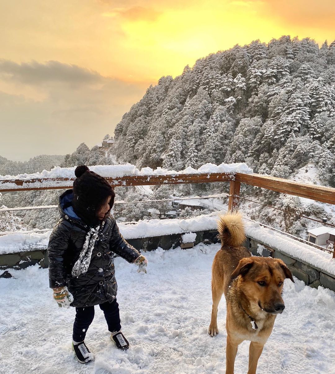 MS Dhoni And Sakshi Dhoni Enjoy A Snow-Filled Vacation With Daughter, Ziva  And Family