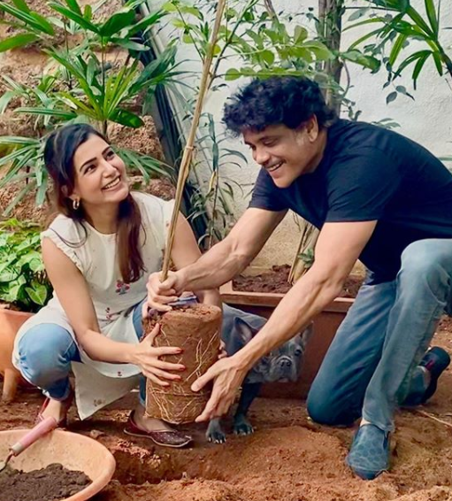 Samantha Akkineni just welcomed new member in the family and the photos are  too cute to miss