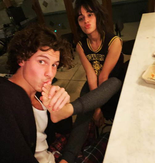 Shawn Mendes' Birthday Wish For Ladylove, Camila Cabello Proves How ...