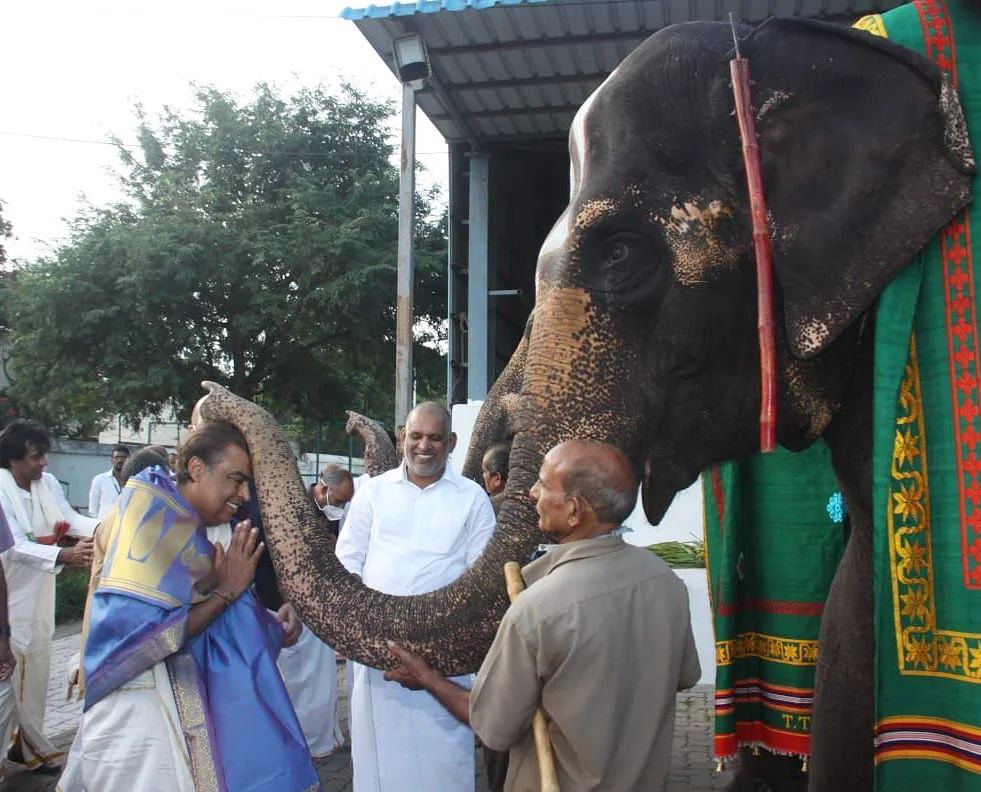 Mukesh Ambani Visits Tirupati With Son's Fiancee, Radhika Merchant ...