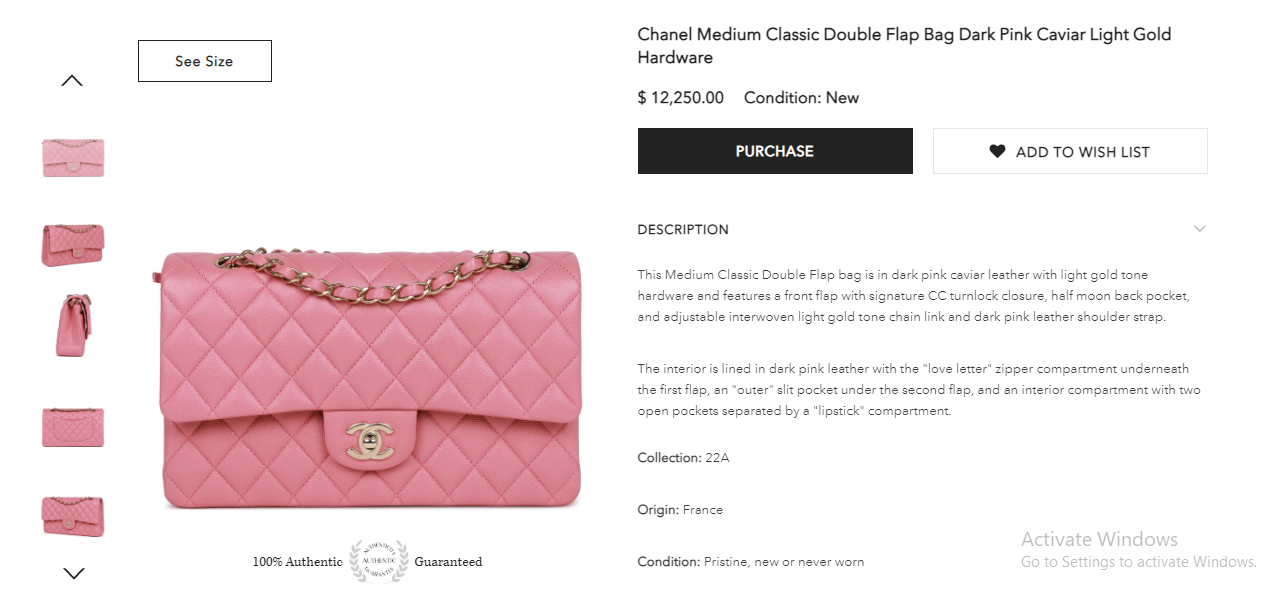Alia Bhatt trolled for carrying empty purse at Gucci Cruise 2024 event  Gucci के इवेंट में खाली पर्स लेकर पहुंची आलिया भट्ट हो गईं ट्रोल | Jansatta