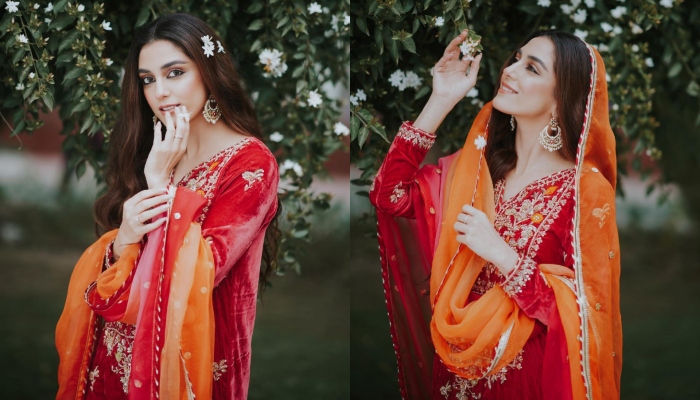 Zarine Khan Lehenga Choli | Zeenat Style Sarees, Salwar Kameez, Anarkali