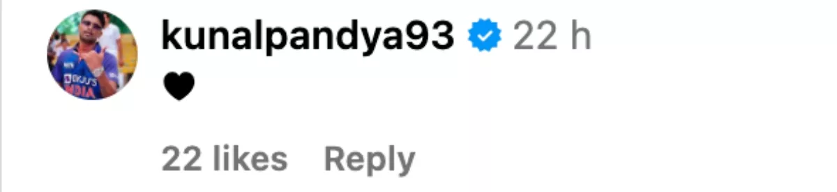 Hardik Pandya's brother, Natasa 