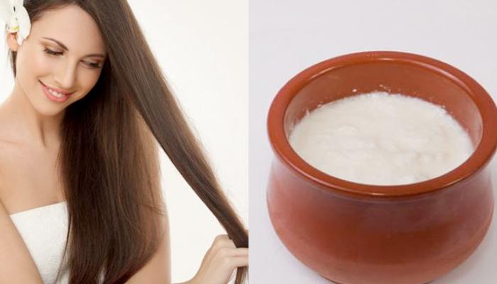 Homemade Yogurt Hair Masks Accelerate Hair Growth And Repair