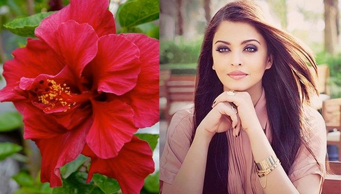 6 Tips to Use Hibiscus Leaves for Hair Growth  Be Beautiful India  Be  Beautiful India